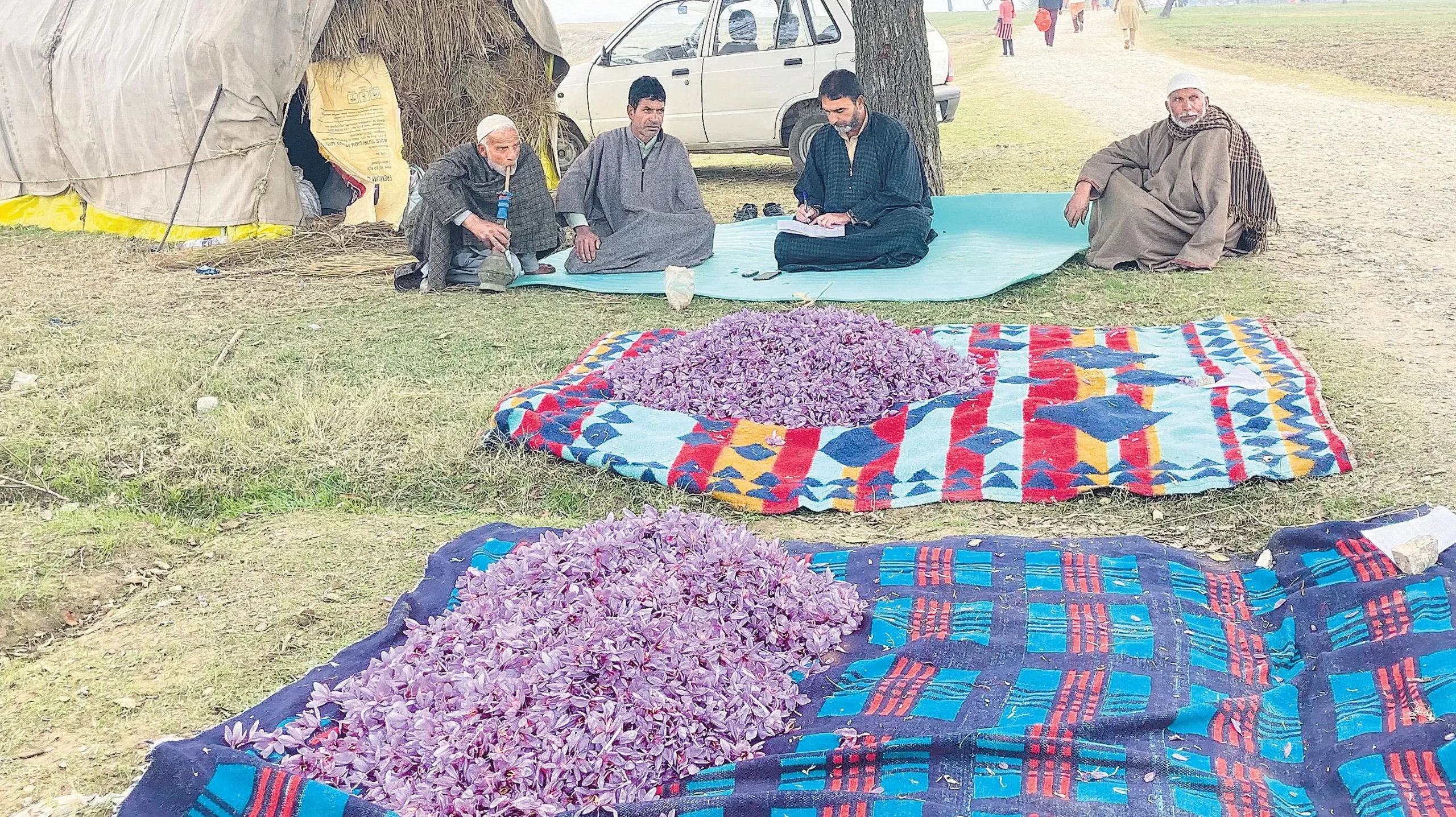 Climate Crisis Hits Kashmir's